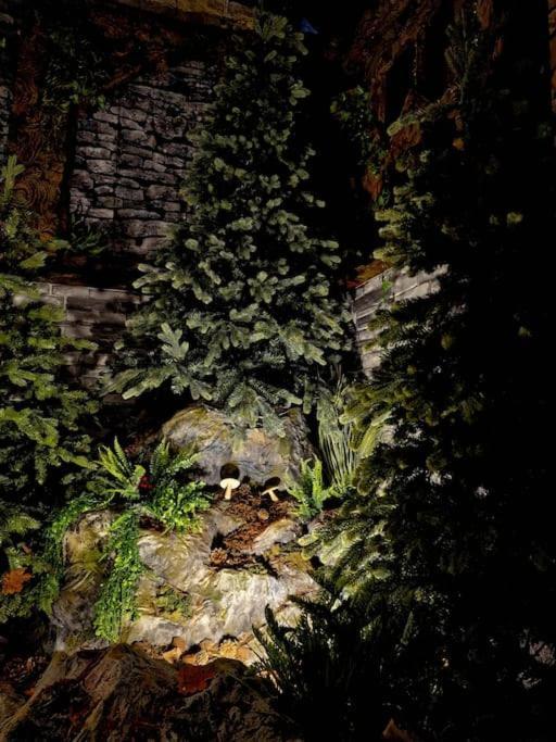 Le Enecy - Spa - Coeur Vieille Ville Annecy Ngoại thất bức ảnh